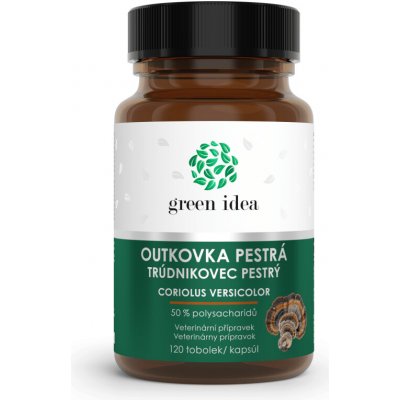 Green idea Outkovka pestrá 120 tablet – Hledejceny.cz
