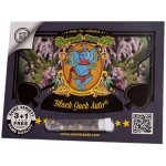 Sweet Seeds Black Jack AUTO semena neobsahují THC 5 ks – Zboží Mobilmania