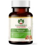 Maharishi Ayurveda Guggul 60 tablet – Hledejceny.cz