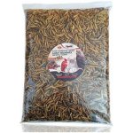 Apetit BLACK SOLDIER FLY LARVEA 0,5 kg – Hledejceny.cz