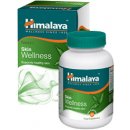 Himalaya Neem 60 tablet