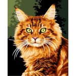 Norimpex Diamantové malování Zrzavá kočka 30 x 40 cm – Hledejceny.cz