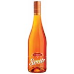 Avanti Spritz 0,75 l (holá láhev) – Sleviste.cz