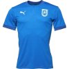 Pánské sportovní tričko Puma TEAMFINAL 21 JERSEY TEE Pánské sportovní triko modrá