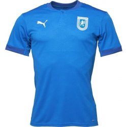 Puma TEAMFINAL 21 JERSEY TEE Pánské sportovní triko modrá