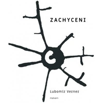 Zachycení - Lubomír Verner