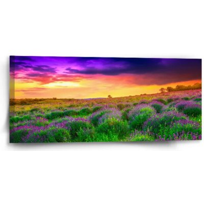 Sablio Obraz Levandulové pole - 110x50 cm – Hledejceny.cz