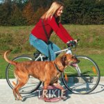 Trixie vodítko na kolo a jogging 100-200 x 2,5 cm – Zbozi.Blesk.cz