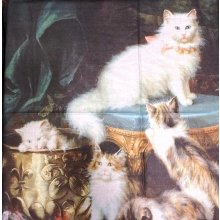 Velká šála s malovanými kočkami