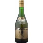 Napoleon diplomat koňak 36% 0,7 l (holá láhev) – Hledejceny.cz