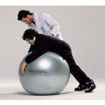 PhysioBall Maxafe 120cm – Zboží Dáma