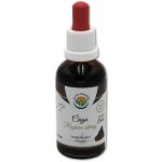 Salvia Paradise Chaga AF tinktura 50 ml – Hledejceny.cz