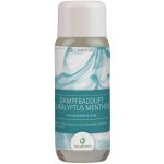 Lacoform Esence pro parní lázně Eukalyptus mentol 250 ml – Hledejceny.cz