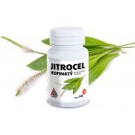Jitrocel Kopinatý Plantaginis Folium Valknut 100+20 kapslí – Hledejceny.cz