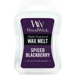 WoodWick vonný vosk do aromalampy Spiced Blackberry Pikantní ostružina 22,7 g – Zboží Dáma