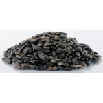 Biostan Biokron Slunečnice černá 5 kg – Zbozi.Blesk.cz