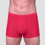 GymBeam Men‘s PRO Swim Shorts Red – Zbozi.Blesk.cz