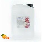 PM Aqualog esence do parních kabin pomeranč-mandarinka 861-003/D 3 l – Hledejceny.cz
