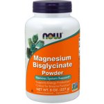 Now Magnesium Bisglycinate hořčík bisglycinát prášek 227 g – Hledejceny.cz