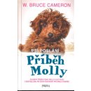 Psí poslání: Příběh Molly - Cameron W. Bruce