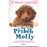 Psí poslání: Příběh Molly - Cameron W. Bruce – Sleviste.cz