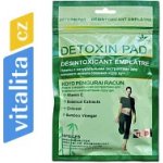 Green World Detoxikační náplasti Tsu Tsu 10 ks – Zboží Dáma