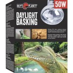 Repti Planet Daylight Basking Spot 50 W – Zboží Mobilmania