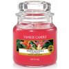 Svíčka Yankee Candle Tropical Jungle 104 g