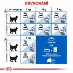 Royal Canin Indoor Long Hair 0,4 kg – Hledejceny.cz