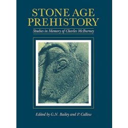 Stone Age Prehistory