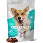 Geloren S-M kloubní výživa pro malé a střední psy 180 g 60 ks – Hledejceny.cz