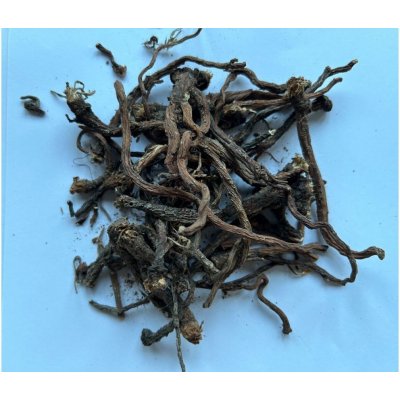 Dáme seno Pampeliška Celý kořen 60 g – Sleviste.cz