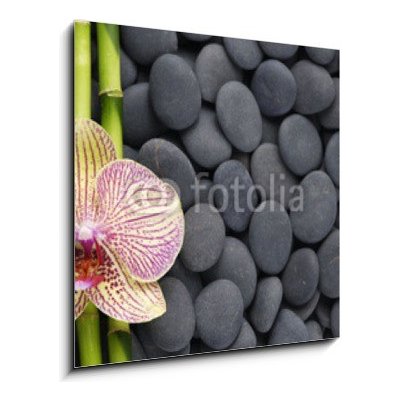 Obraz 1D - 50 x 50 cm - Gorgeous orchid and thin bamboo grove on pebbles Nádherná orchidej a tenká bambusová háj na oblázcích – Zboží Mobilmania