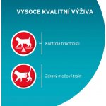 Purina ONE Sterilcat hovězí kuře losos krůta ve šťávě 40 x 85 g – Sleviste.cz