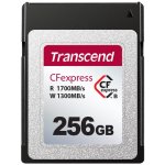 Transcend 256 GB TS256GCFX600 – Zboží Živě