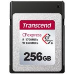 Transcend 256 GB TS256GCFX600 – Zbozi.Blesk.cz