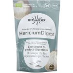 Hifas da Terra HericiumDigest Bio 100 g bez příchutě – Hledejceny.cz