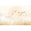 Tapety Komar Vliesová fototapeta Drift Dune Grass rozměry 400 x 250 cm