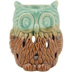Čína Aroma lampa Sova 12 cm tyrkysová – Hledejceny.cz