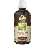 Green idea Karmelitské kapky 50 ml – Hledejceny.cz
