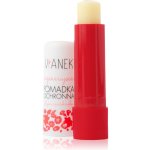 Vianek Regenerating regenerační balzám na rty 4,6 g – Zboží Dáma