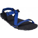 Xero Shoes Mens Z-Trail EV Sodalite blue – Zboží Dáma