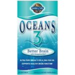 Garden of Life Oceans 3 Better Brain Omega-3 Podpora činnosti mozku 90 kapslí – Hledejceny.cz