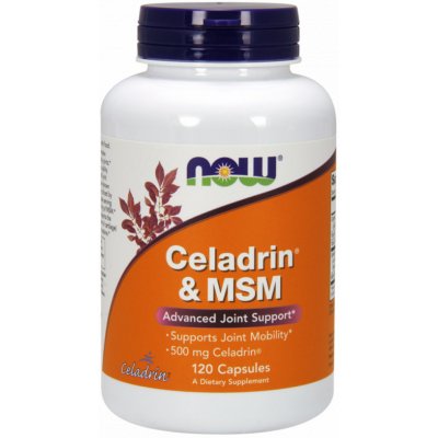 NOW Foods NOW Celadrin a MSM 100 mg 120 kapslí – Zboží Mobilmania