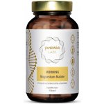 Puravia LABS MORNING Magnesium Malát 90 kapslí – Hledejceny.cz