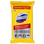 Domestos vlhčené ubrousky Lemon 100 ks – Zboží Dáma