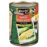 Exotic Food Bambusové výhonky nudličky 540 g – Zboží Dáma Exotic Food Bambusové výhonky nudličky 540 g – Zboží Dáma