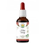 Salvia Paradise Hloh obecný AF tinktura 50 ml – Hledejceny.cz