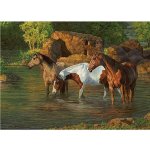 Cobble Hill Koně v řece 500 dílků – Zboží Mobilmania