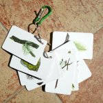 Li šejníky - Kapesní atlas – Sleviste.cz